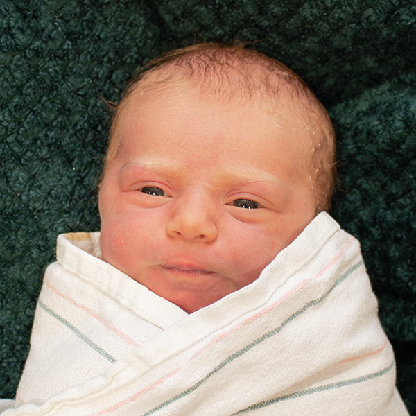 Everly Rose 092126 website
