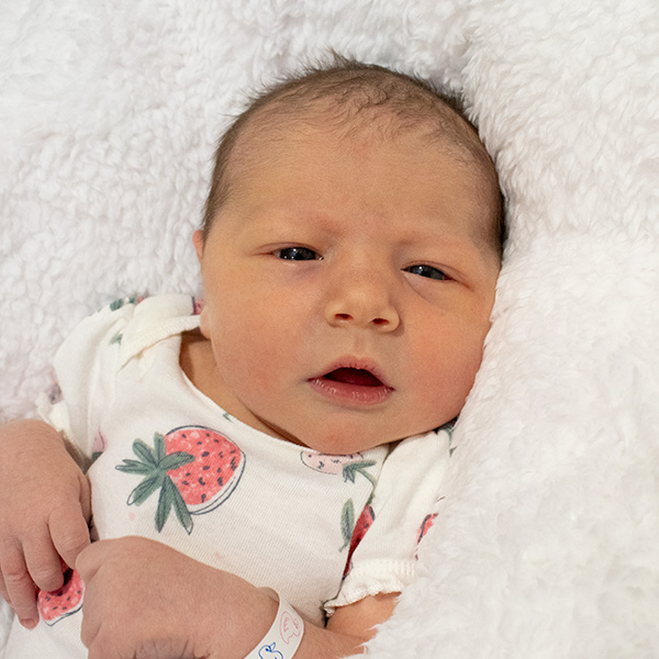 Hazel Rose 090826_website