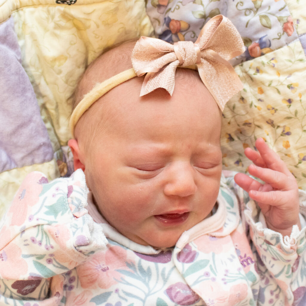 Leena Sue 092926 website
