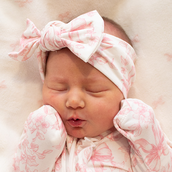 Saylor Josephine 093026 website